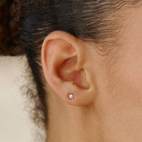 Puces Zircon Éclat