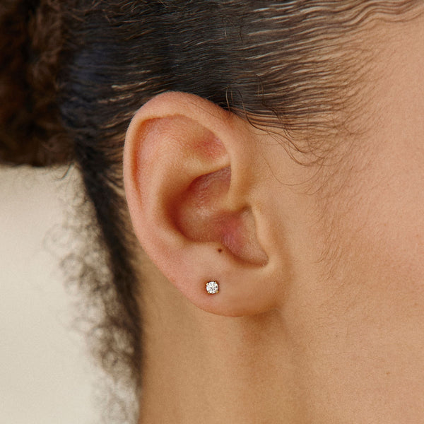 Puces Zircon Éclat